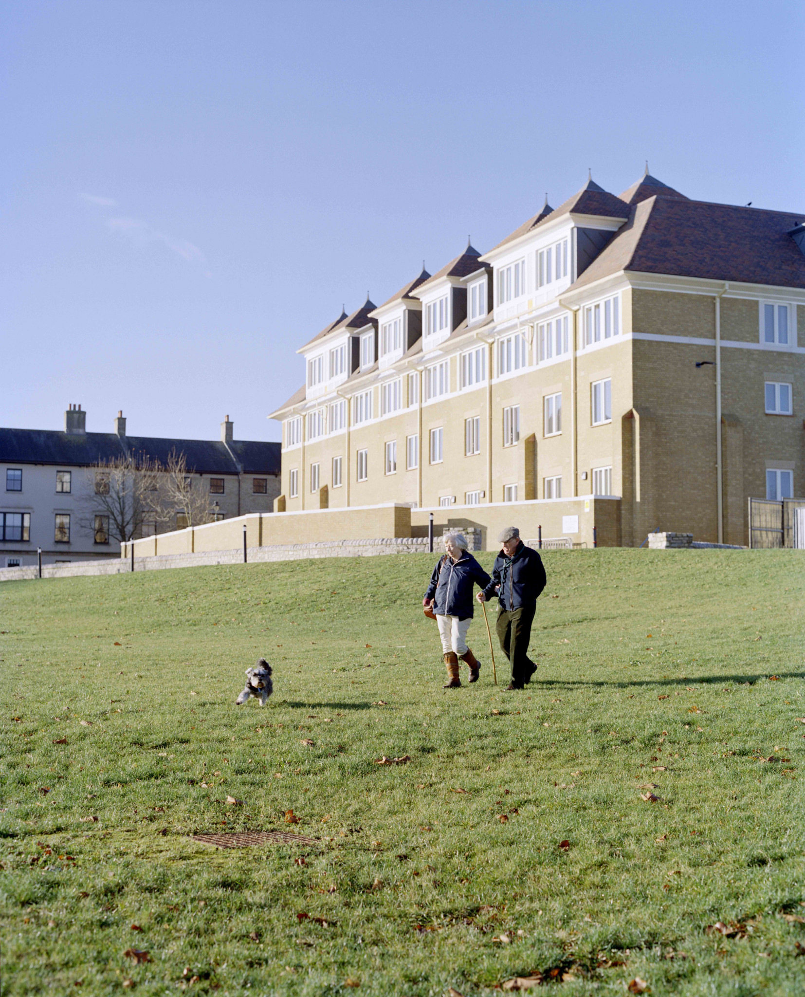 Image of a couple walking a dog