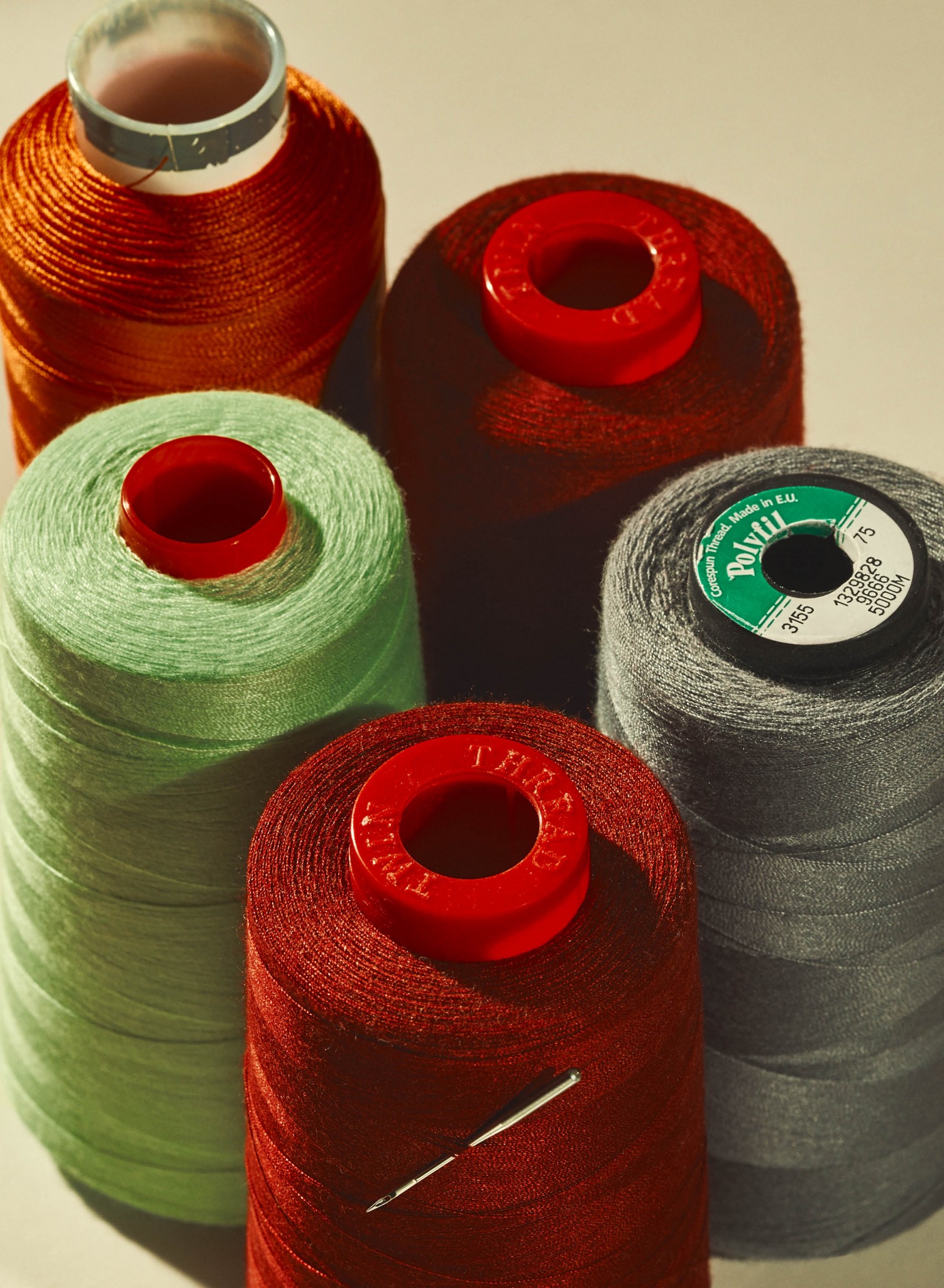 Closeup image of 5 cotton threads in different colours and one sewing needle