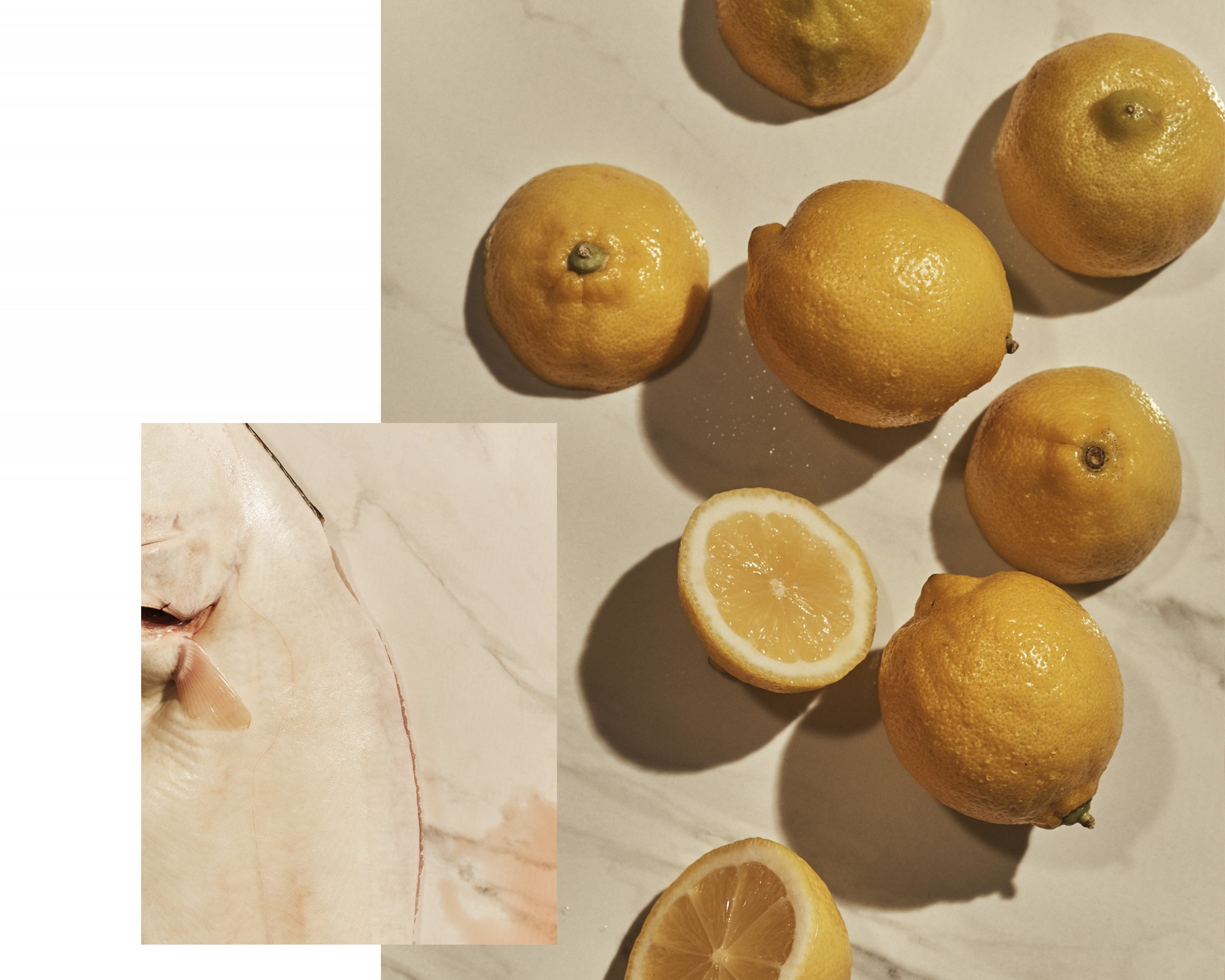 Two closeup images of a sea halibut and lemons