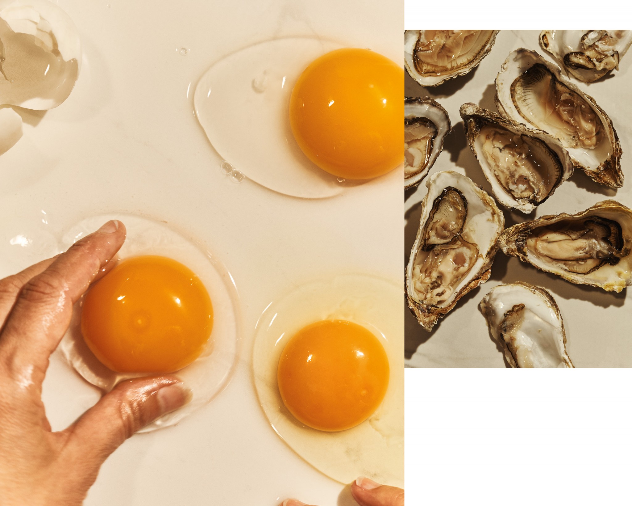 Two closeup image of eggs and oysters